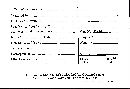 Trametes roseola image