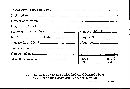 Trametes roseola image