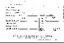 Scleroderma cepa image