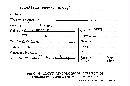 Polystictus currani image