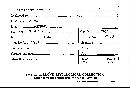 Scleroderma cepa image