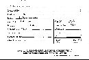 Scleroderma cepa image