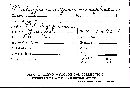 Favolus grammocephalus image