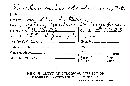 Echinodia theobromae image