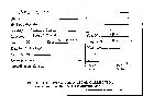 Polyporus varius image