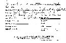 Xerotus anastomosus image
