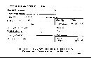 Tricholoma sulphureum image