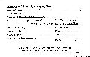 Tomentella ferruginea image