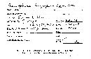 Subulicystidium longisporum image