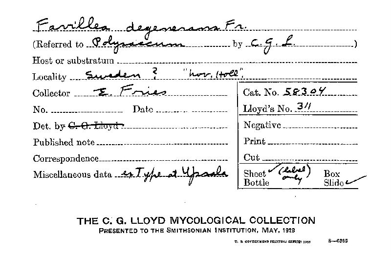 Favillea degenerans image