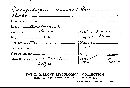 Lycogalopsis dussii image