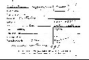 Catastoma hypogaeum image