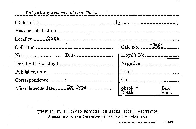 Phlyctospora maculata image