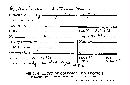 Protoglossum luteum image