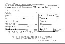 Disciseda candida image