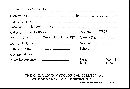 Punctularia strigosozonata image