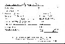 Scleroderma flavidum image