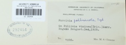 Puccinia polliniicola image