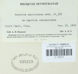 Puccinia seymouriana image