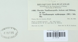 Puccinia vanillosmopsidis image