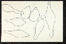 Psathyrella nezpercii image