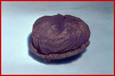 Abstoma image