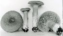 Lactarius helvus image