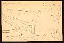 Mycena albicolor image