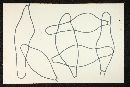 Psathyrella fagetorum image