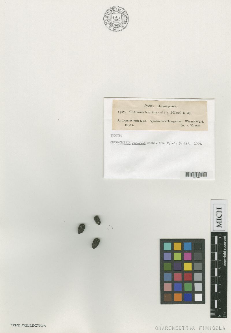 Charonectria fimicola image