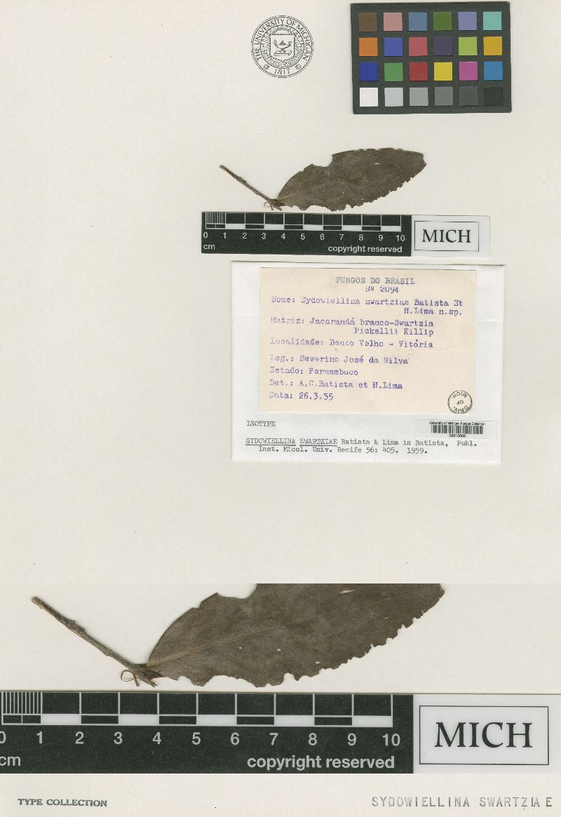 Sydowiellina swartziae image