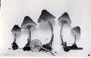 Mycena elegantula image