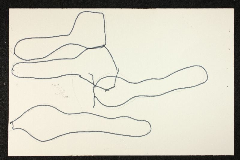 Psathyrella circellatipes image