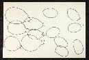 Psathyrella hoseneyae image