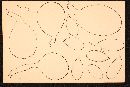 Roridomyces roridus image