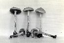 Stropharia riparia image