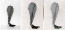 Clavariadelphus truncatus image