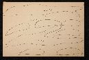 Collybia flaccida image