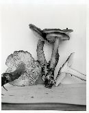 Tricholoma saponaceum image