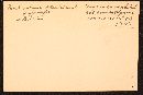 Cortinarius pulcher image
