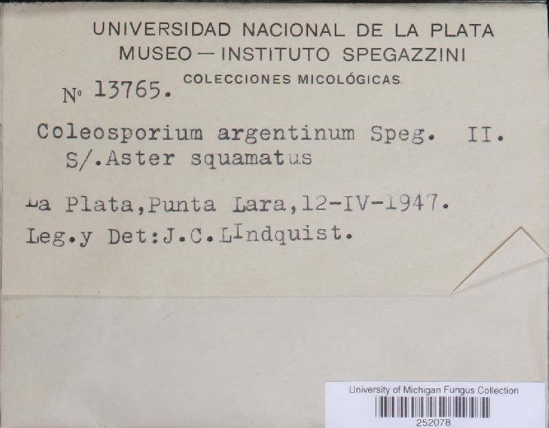 Coleosporium argentinum image
