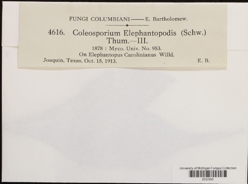 Coleosporium elephantopodis image