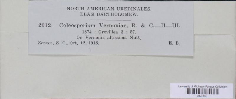 Coleosporium vernoniae image