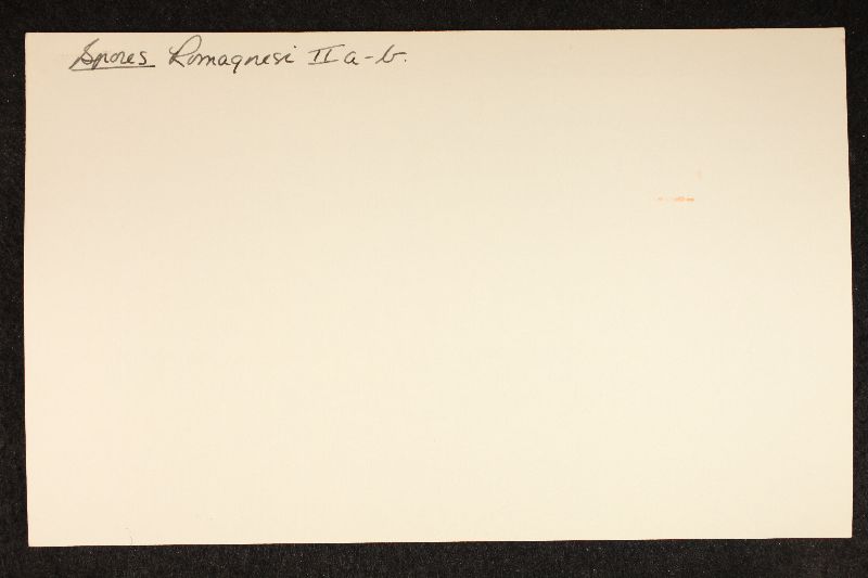 Russula pelargonia image