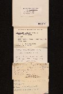 Scleroderma michiganense image
