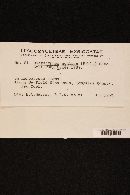 Dasyscyphus nudipes image