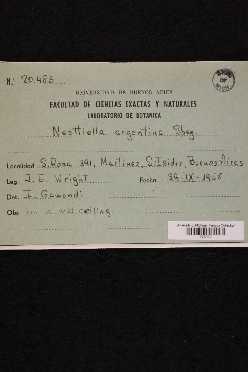 Neottiella argentina image