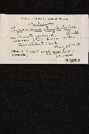 Pyronema omphalodes image