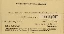 Pucciniastrum epilobii image