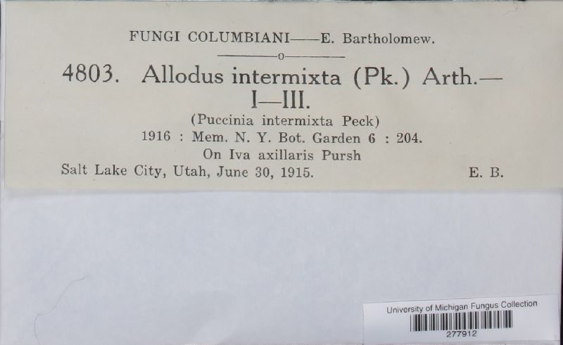 Puccinia intermixta image